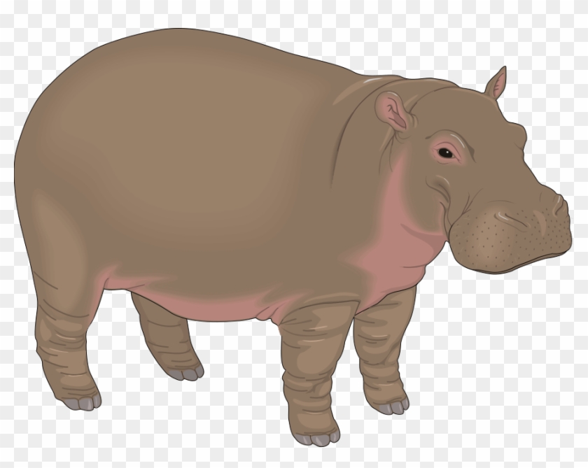 Hippopotamus Clipart - Hippopotamus Clipart #868104