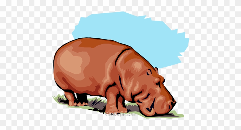 Hippopotamus Royalty Free Vector Clip Art Illustration - Art #868112