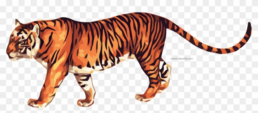 True Tiger Clipart Png Image Www - Macmillan Illustrated Animal Encyclopedia #868443