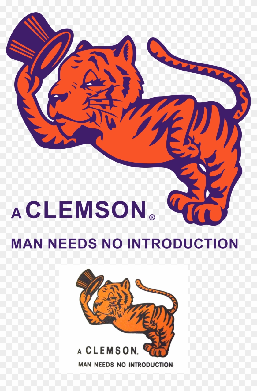 Clemson Hat Vintage - Institute Of Inspection Cleaning And Restoration Certification #868490