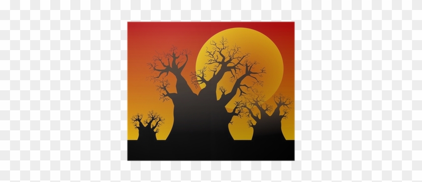 Baobab #868681