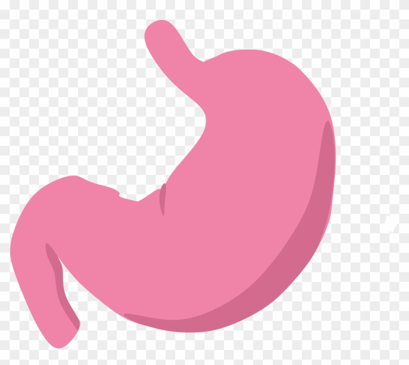 Open - Stomach Png #868841