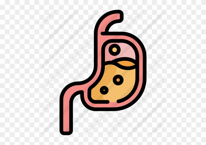 Stomach - Stomach #868856