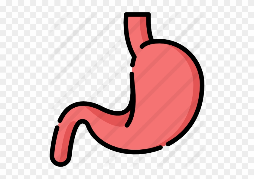 Stomach - Stomach #868866