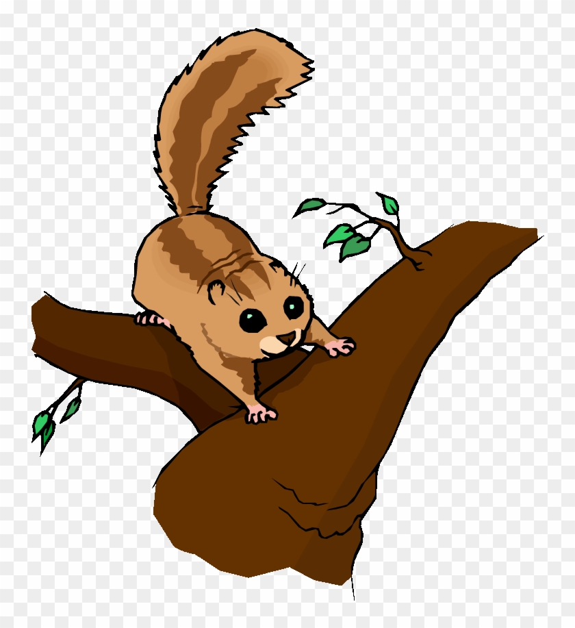 Mountain Lion Clip Art At Clker - Squirrel On Branch Clipart #868912