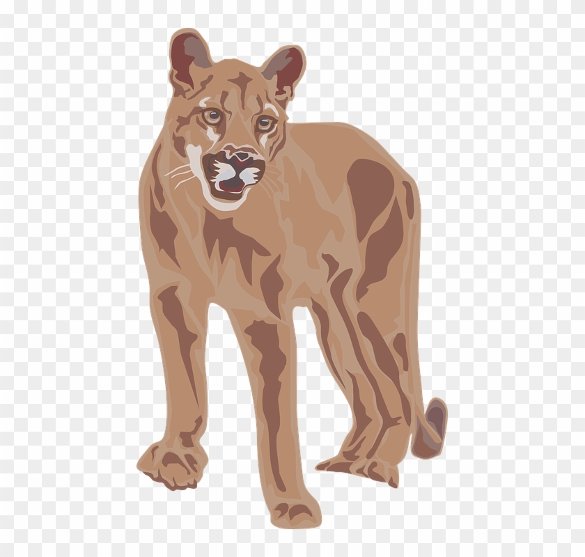 Mountain Lion Clipart - Mountain Lion Clipart #868951