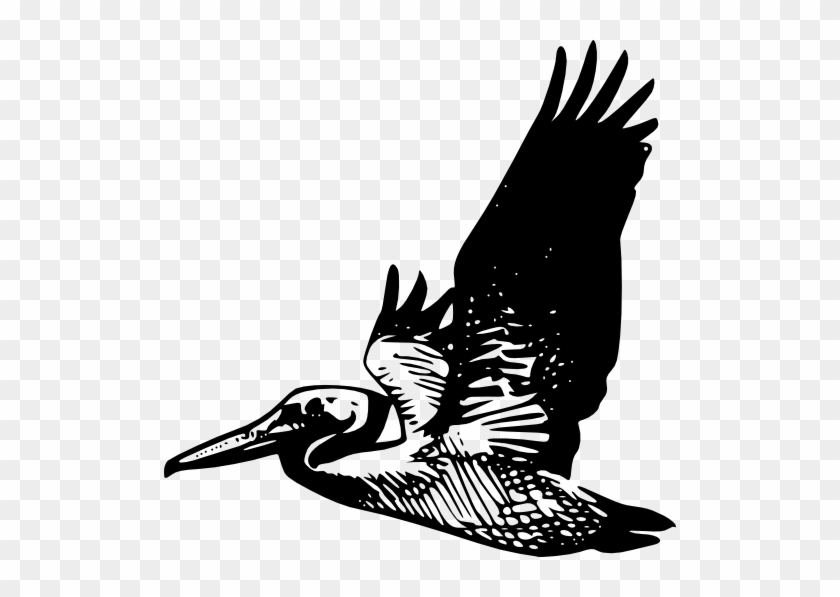 Flying Pelican - Black And White Bird #869265