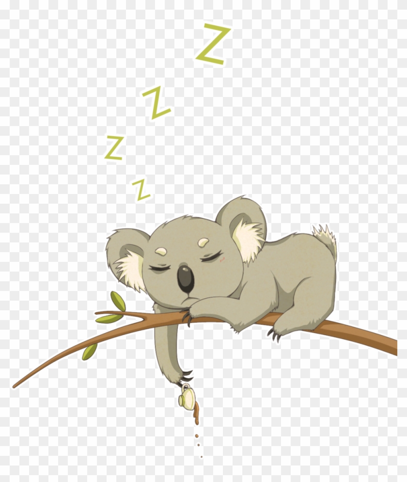 Koala Cute Drawing - Koala Fanart #869705