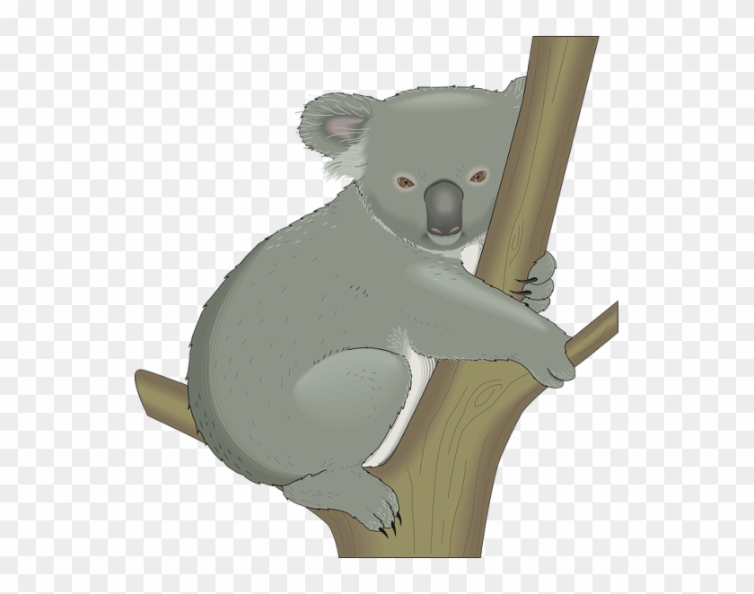 Com/en/koala Australia Tree Hug Branch 48376/ - Koala Free Vector #869726