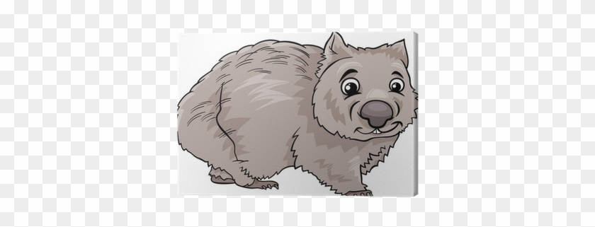Wombat Animal Cartoon Illustration Canvas Print • Pixers® - Wombat Cartoon #869749