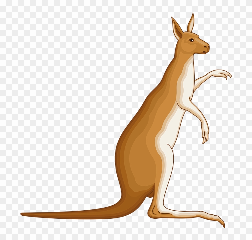 Animated Australian Animals 4, Buy Clip Art - Coat Of Arms Kangaroo #869777