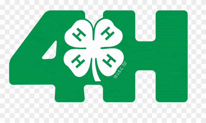 4 - 4 H Clover #870292