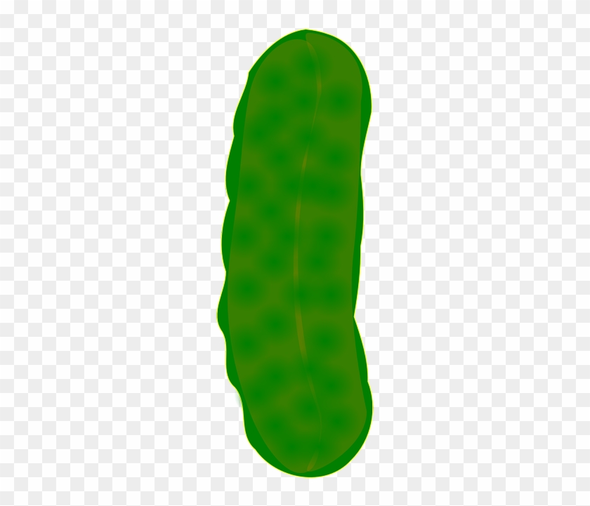 Cucumber Clipart Dill Pickle - Picles Png #870726