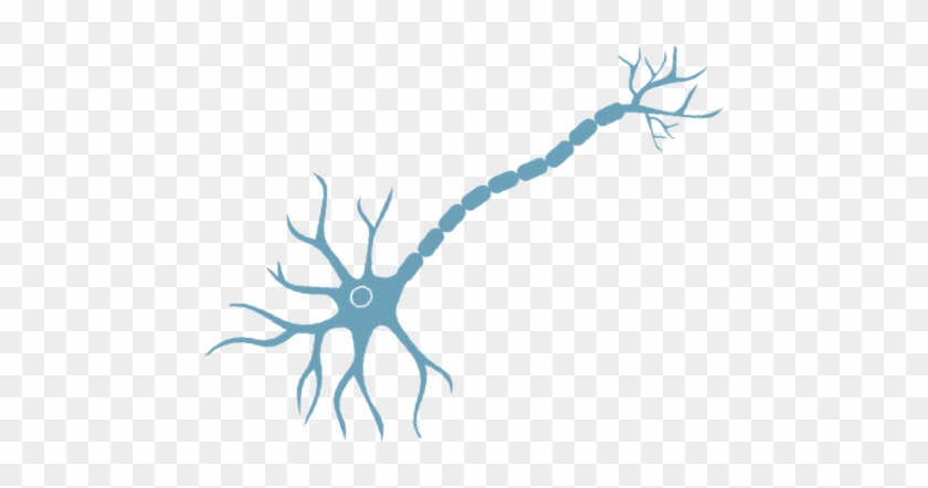 Als Is A Devastating Neurodegenerative Disease Primarily - Neuron Png #870847