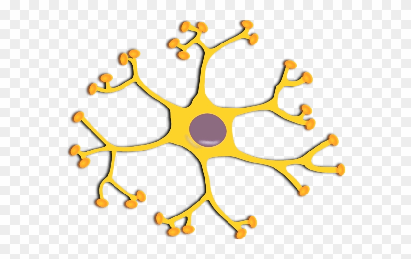 Neuron Interneuron Clip Art - News #870862