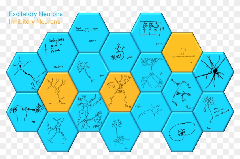 Computational Neuroscience Group - Diagram #870909