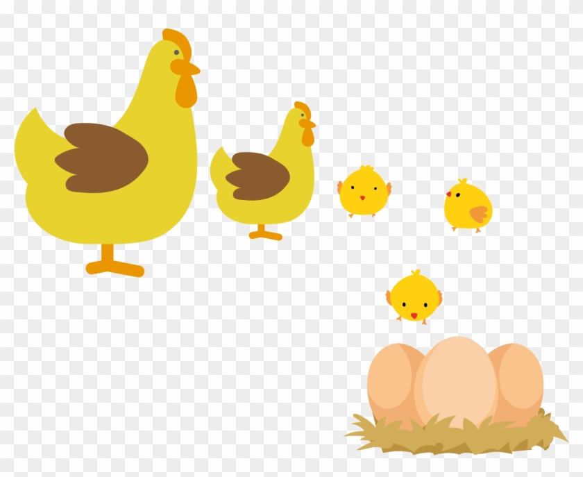 Amarela Rooster Hen - Chicken #870946
