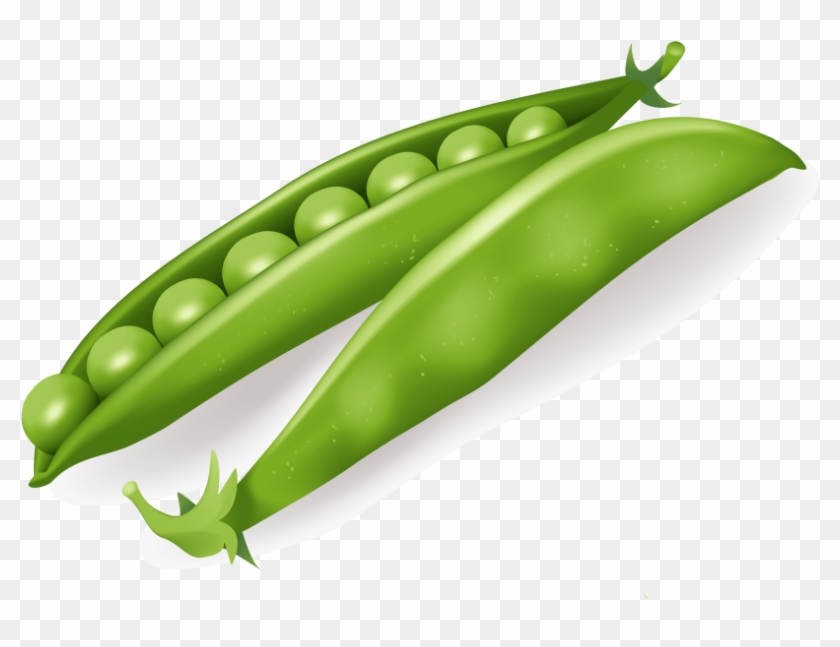 Free Png Pea Png Images Transparent - Peas Clipart Png #871232