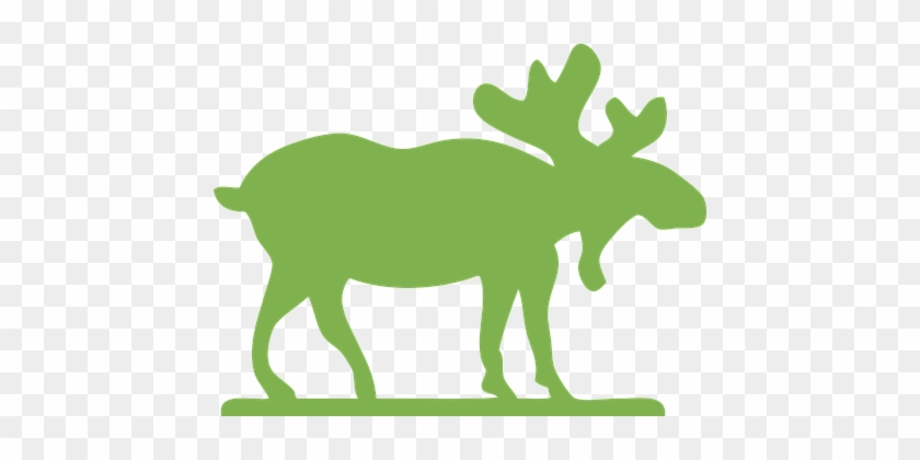 Moose Animal Antlers Green Silhouette Moos - Moose Clip Art #871333