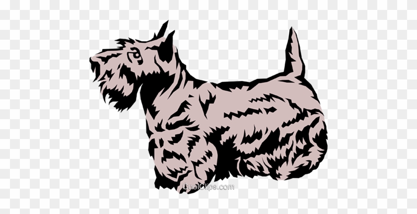 Scottish Terrier Royalty Free Vector Clip Art Illustration - Scottish Terrier Dog - Watchbuddy Elite Chrome-plated #871462