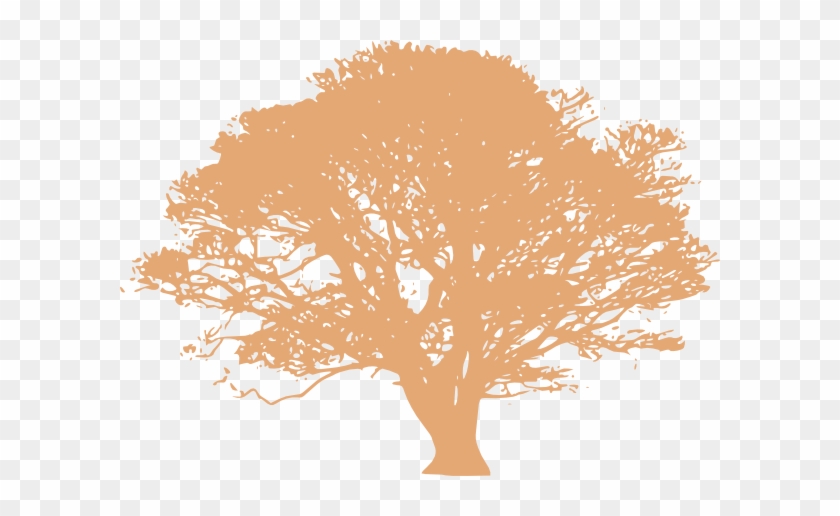 Peach Tree Clip Art - Oak Tree Clip Art Black And White #871561