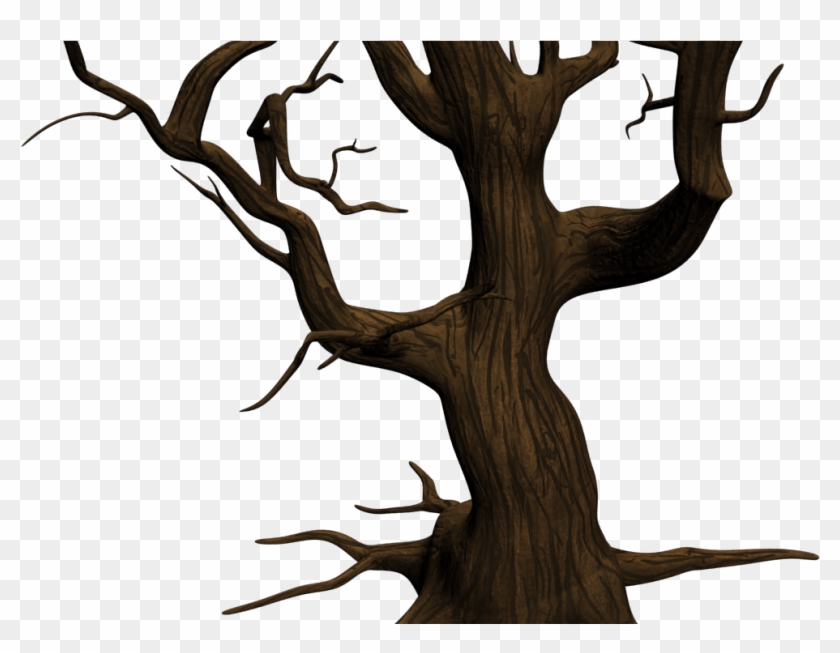 Texturing The Trees - Oak #871602
