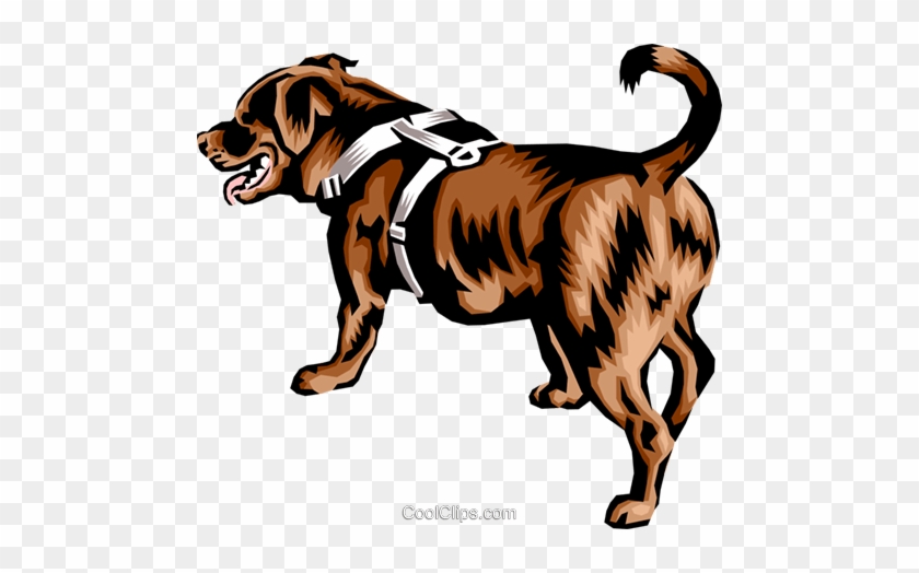 Newfoundland Dog Royalty Free Vector Clip Art Illustration - Newfoundlands Dog Vector Png Clipart #871702