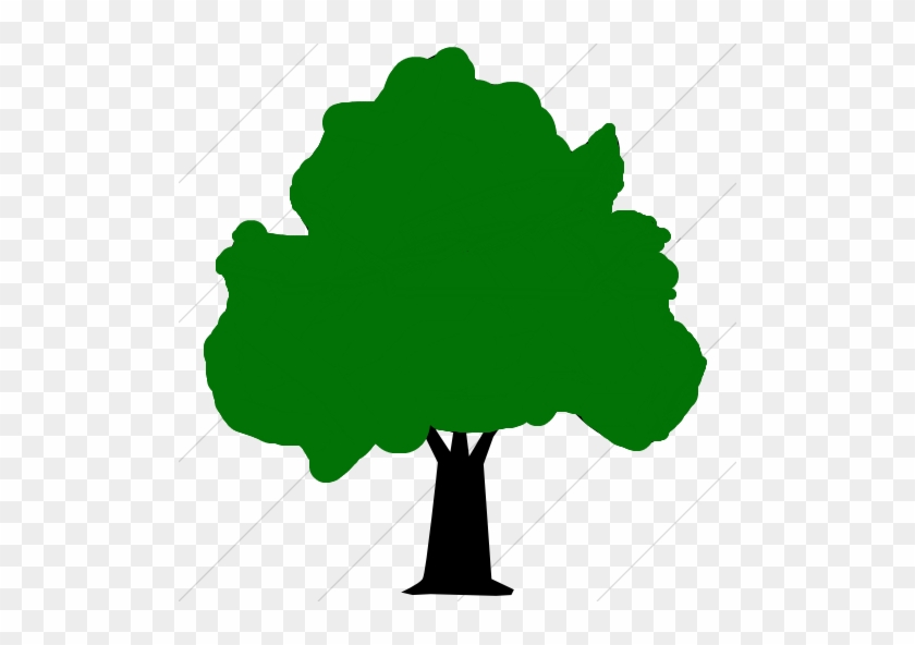 Forest - Tree Clip Art #871747