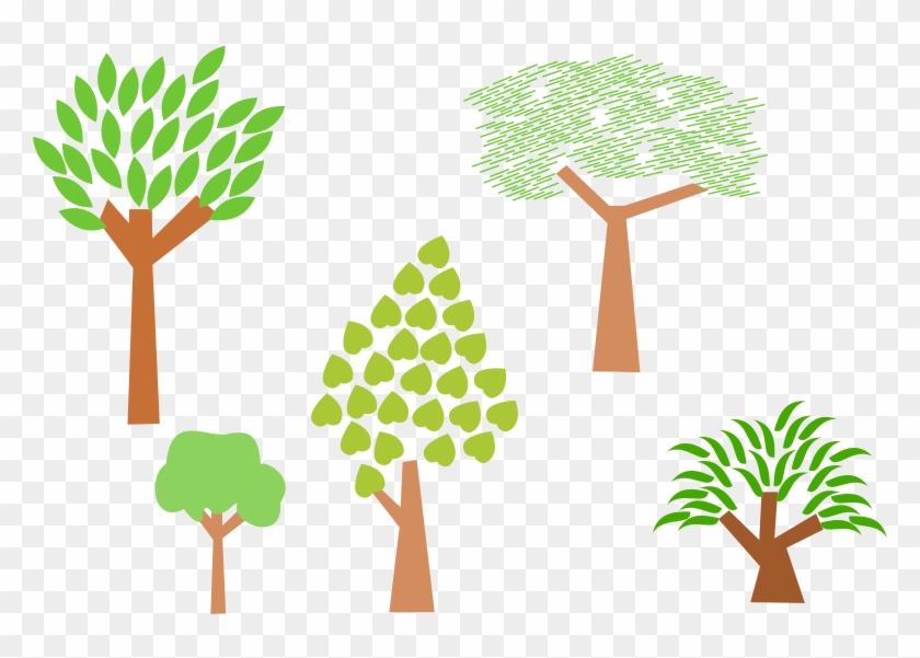 Photos Clipart Small Tree - Trees Clip Art #871760