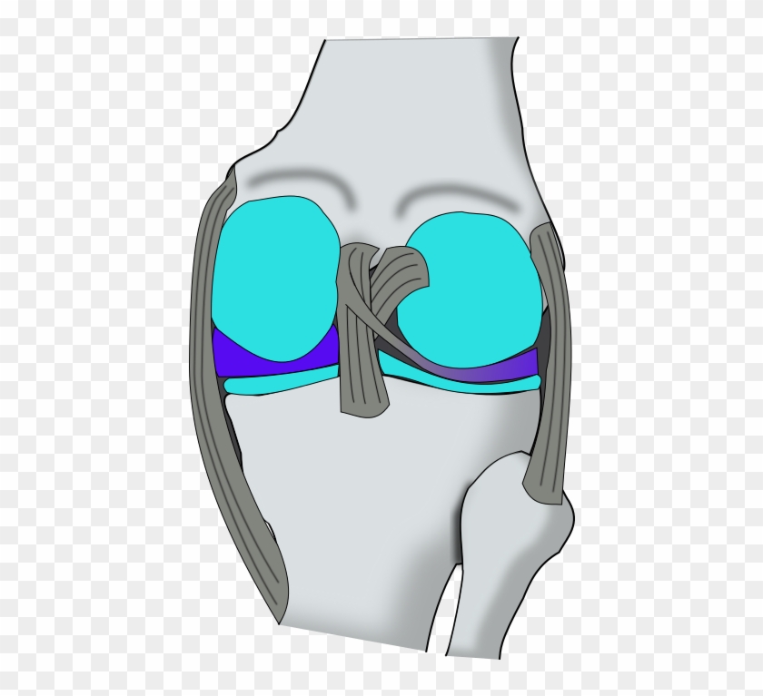 Knee Dorsal - Cross #871883