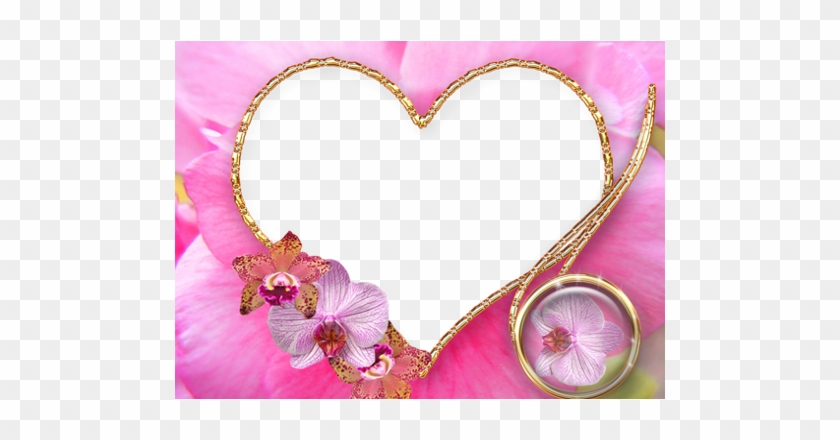 Pink Heart Frames - Heart Frames #871895