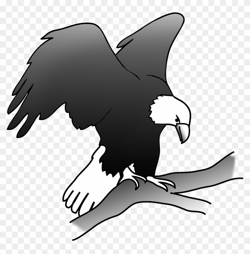 Eagle Drawing On Branch, Outlined Sketch Bald Eagle - Silhouette #871932