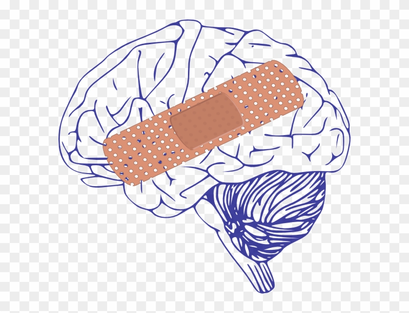 Brain Clip Art #872051