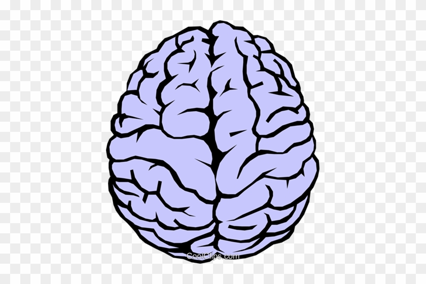 Human Brain Clipart - Simple Drawing Of A Brain #872065