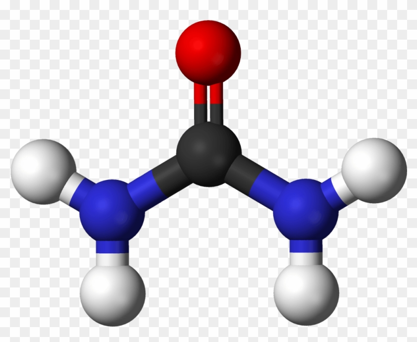 Marijuana's Effects On Circulatory System - Urea 3d Structure #872145