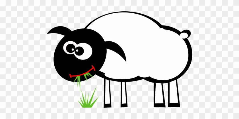 Sheep Eat Grass Graze Grazing Lamb Sheep S - Grazing Clipart #872224