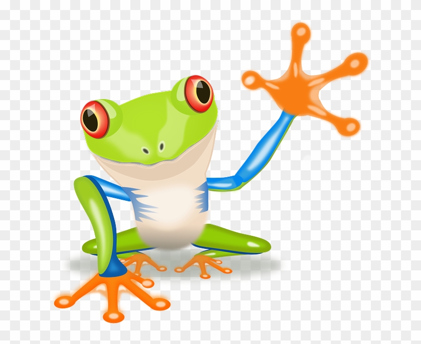 Kikker - Red Eyed Tree Frog Clip Art #872312