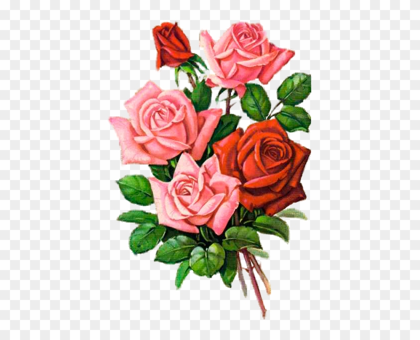 Shabby Chic Flowersvintage - Garden Roses #872323