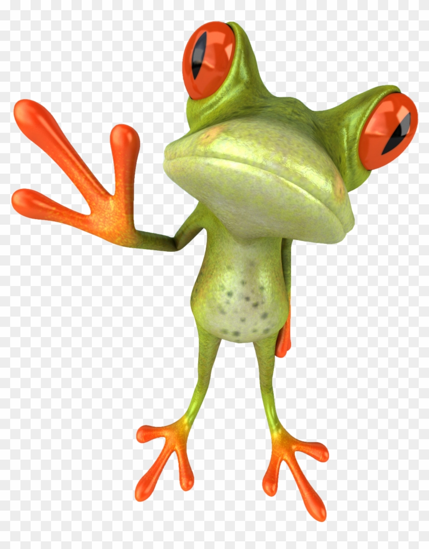 Png Large - Frog #872354