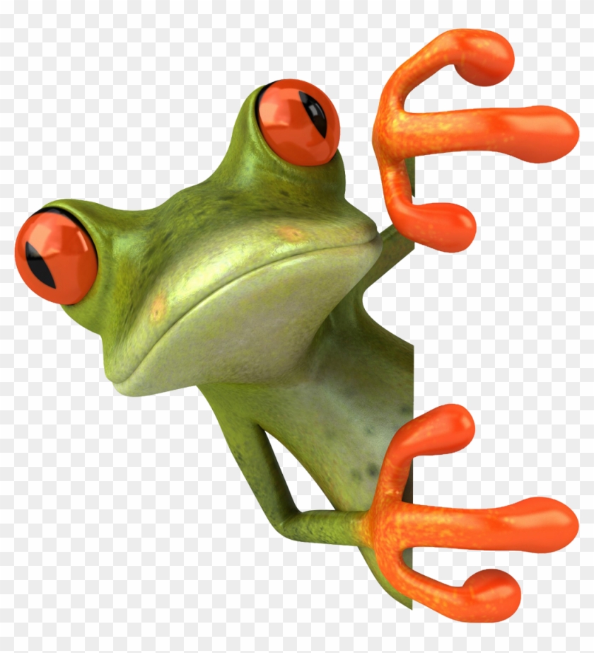 Frogs Png #872380
