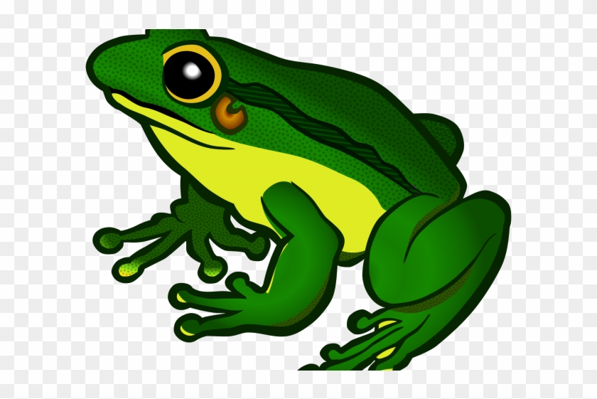 Green Frog Clipart Colored - Gay Frogs #872386