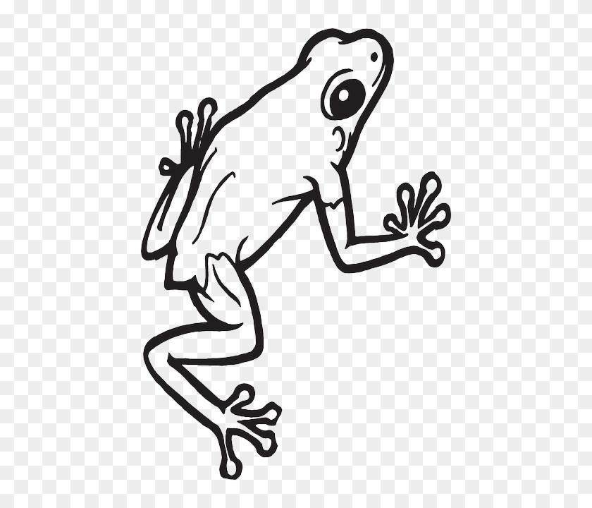Sticky Eyes, Frog, Amphibian, Cute, Legs, Sticky - Frog Ornament (round) #872417