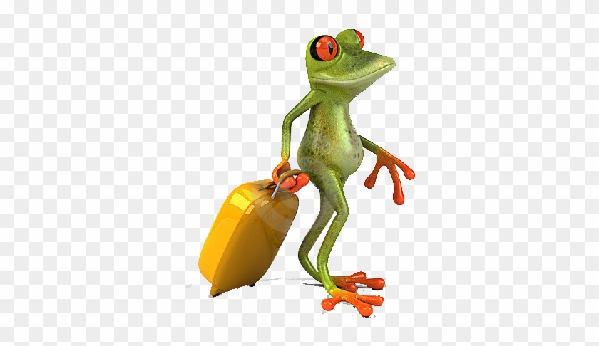 Frog Suitcase 17922439 Copy - Stock Photography #872424
