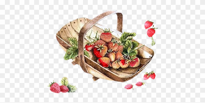 Baskets With Strawberries - Marjolein Bastin #872745