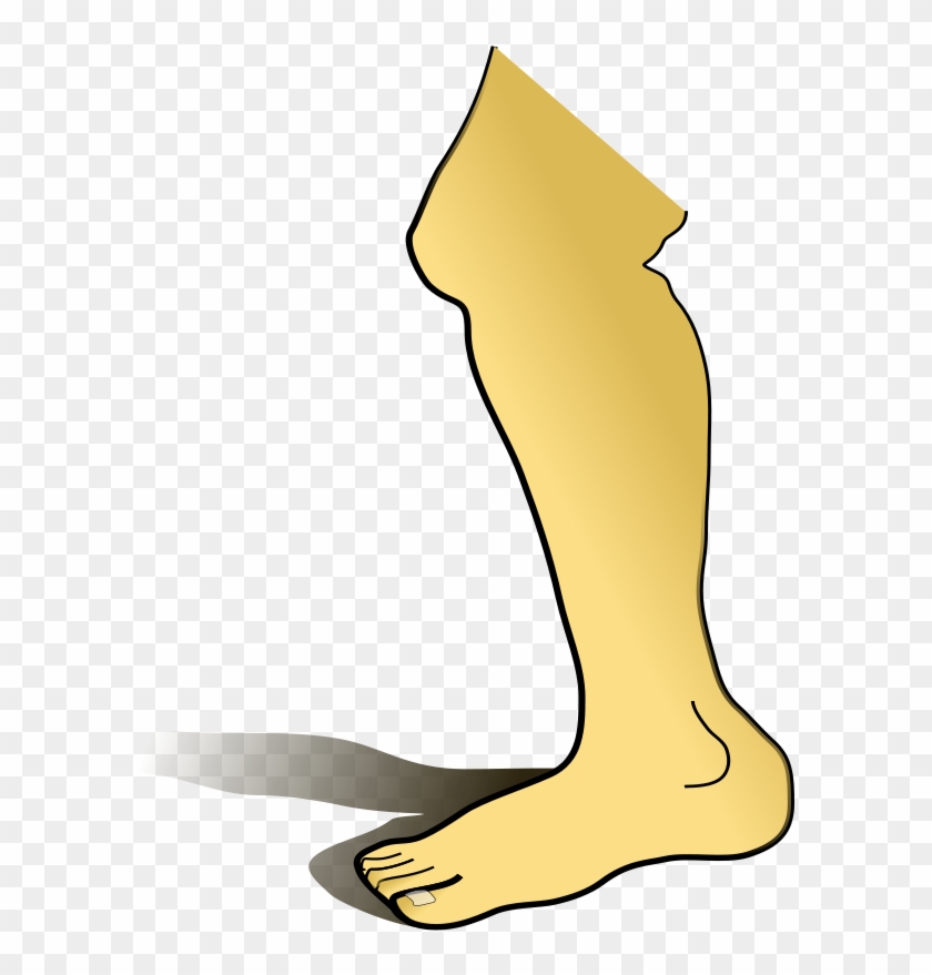 Clipart Of Leg Bones, Artwork U18619581 - Part Of Body Leg #872827