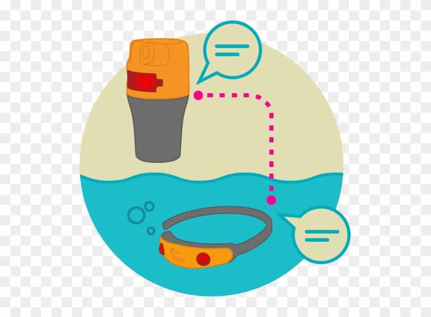 Seal - Graphics #872878