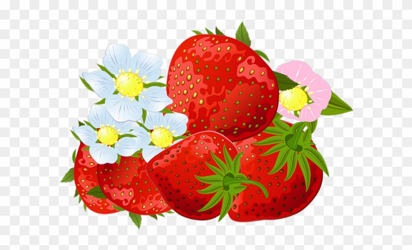 Fraises Png, Tube - Strawberries #872899