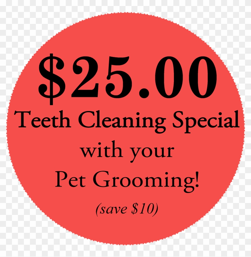 Teeth Cleaning Services - Circle #872938