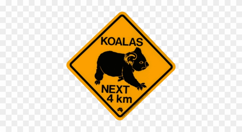 Koala Road Warning Sign Oz - Noosa National Park #872955