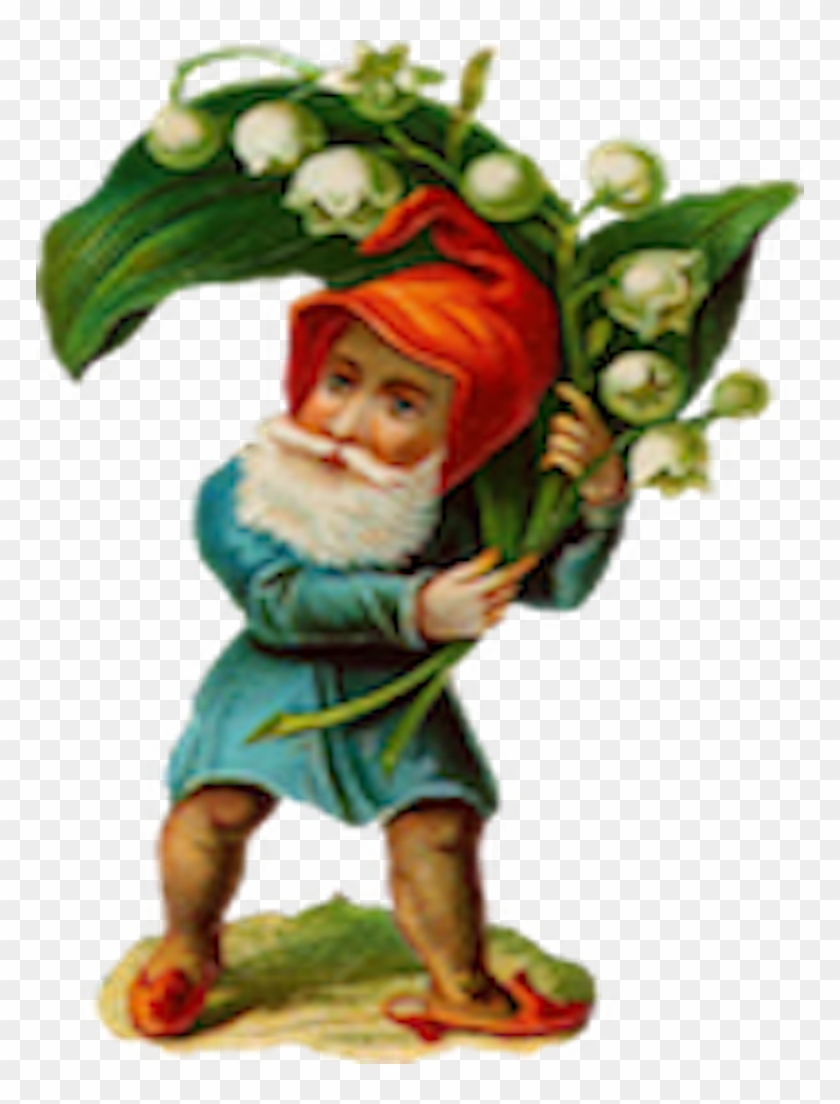 Assist The Mad Gnome In The Strawberry Patch As He - Vintage Gnome Clip Art #872967